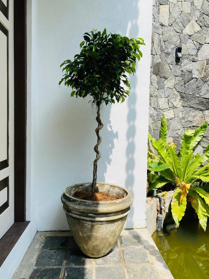 Thaprobana Villa Tangalle - Private Villa Exteriér fotografie