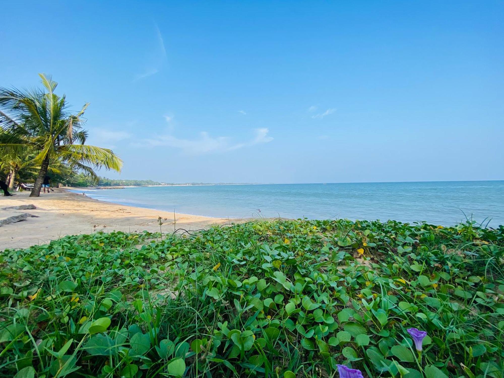 Thaprobana Villa Tangalle - Private Villa Exteriér fotografie